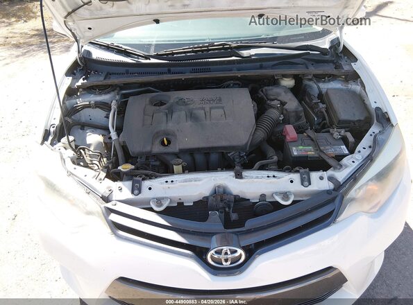 5YFBPRHE4GP479967 2016 TOYOTA LL Белый Вид сзади