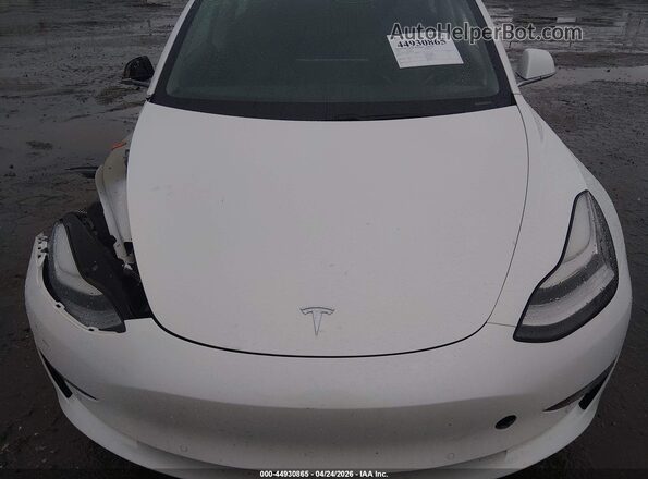 5YJ3E1EA3LF792575 2020 TESLA MODEL 3 White Вид ззаду