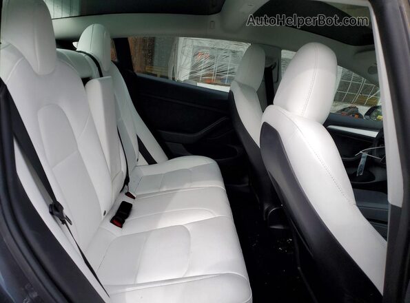 5YJ3E1EB1PF690982 2023 TESLA MODEL Серый Вид задних сидений