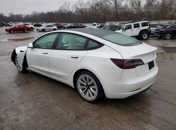 5YJ3E1EB2NF248368 2022 TESLA MODEL White უკანა მარცხენა