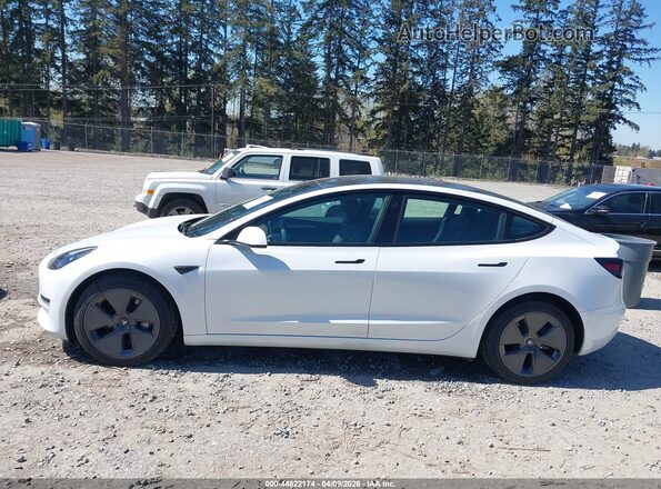 5YJ3E1EB2NF342136 2022 TESLA MODEL 3 White 
