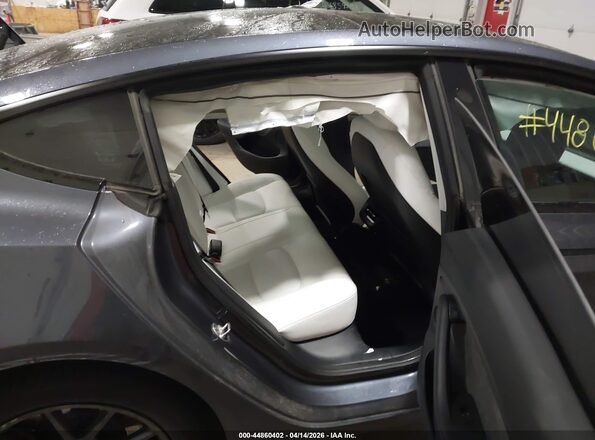 5YJ3E1EB6PF637162 2023 TESLA MODEL 3 Серый Вид наклейки с VIN-кодом
