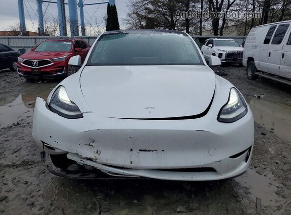 5YJYGDEE0MF077517 2021 TESLA MODEL White Դիմացի տեսք