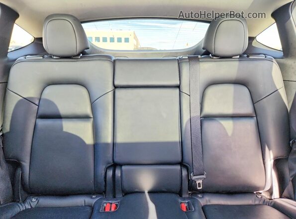 5YJYGDEE1MF267181 2021 TESLA MODEL Белый Вид задних сидений