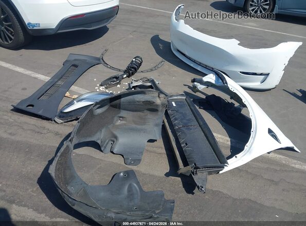 5YJYGDEE5MF240520 2021 TESLA MODEL Y White 