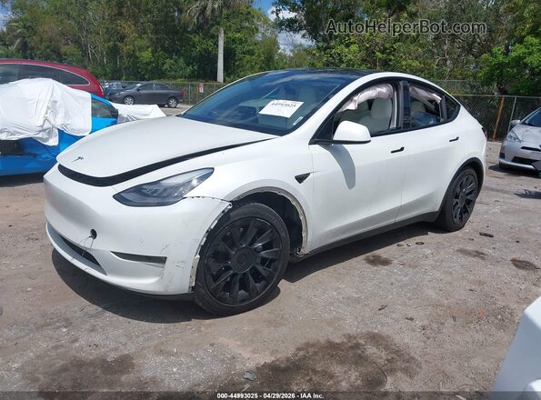 5YJYGDEE9MF108764 2021 TESLA MODEL Y White Przód lewy