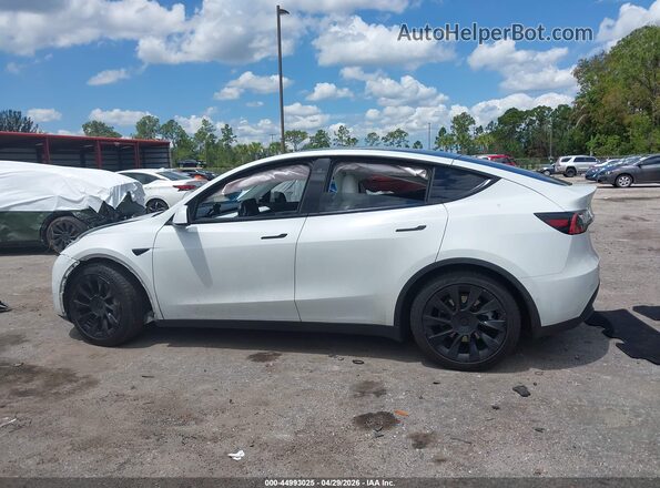 5YJYGDEE9MF108764 2021 TESLA MODEL Y White Widok wnętrza z tyłu