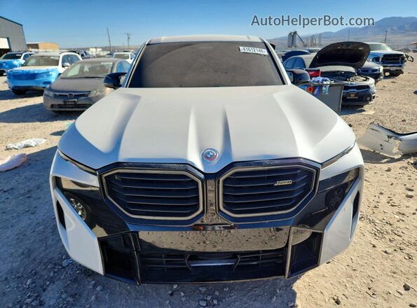 5YM23CS03P9S09695 2023 BMW XM White Вид спереду