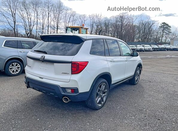 5FNYF8H53PB029889 2023 HONDA PASSPORT Белый 