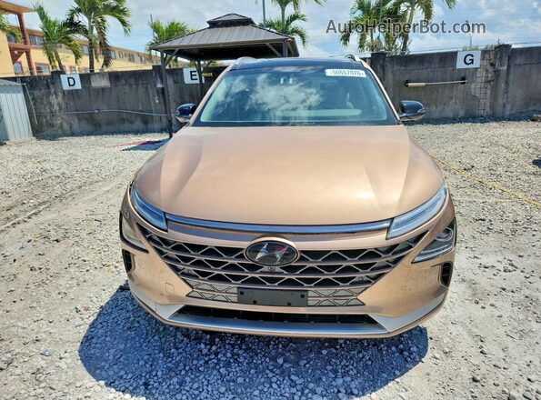 KM8J84A69LU007979 2020 HYUNDAI NEXO Gold Rear view