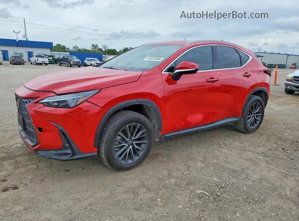 2T2ADCAZ0RC007052 2024 LEXUS NX Красный Задняя левая четверть