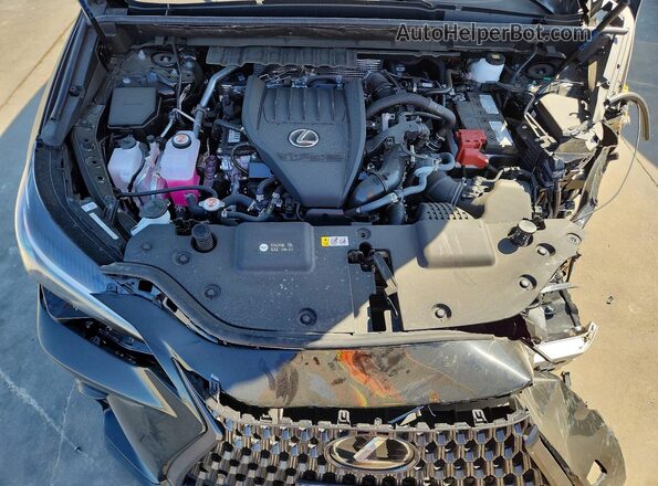 2T2AGCEZ6TC107083 2026 LEXUS NX Black VIN sticker view