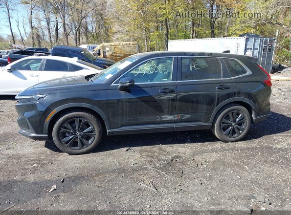 7FARS4H73PE011973 2023 HONDA CR-V Black Widok wnętrza 360 stopni
