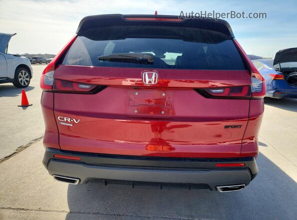 7FARS5H86RE033502 2024 HONDA CR-V Red Հետևի տեսք