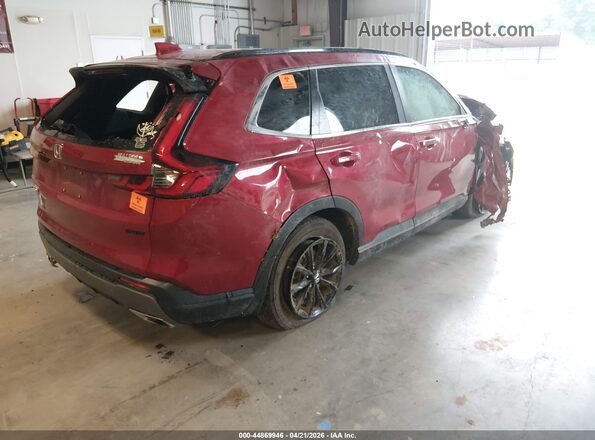 7FARS6H52SE030226 2025 HONDA CR-V Red Tył prawy