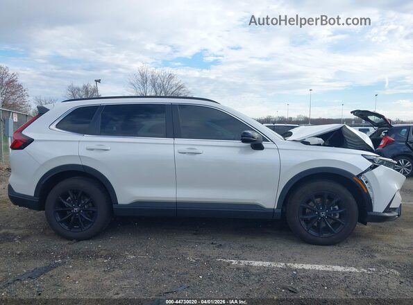 7FARS6H83SE045232 2025 HONDA CR-V Белый Вид задней части салона