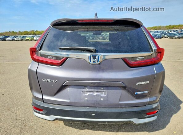 7FART6H84LE006227 2020 HONDA CR-V Серый Вид сзади