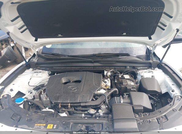 7MMVABDM6SN341565 2025 MAZDA CX-5 White Rear view
