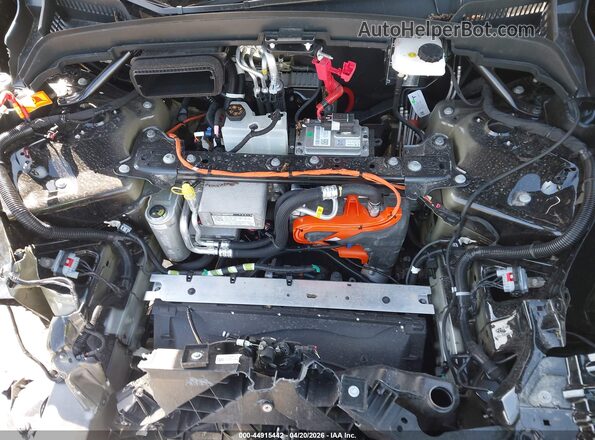7SAYGDED0TA597772 2026 TESLA MODEL Y Черный Вид сзади