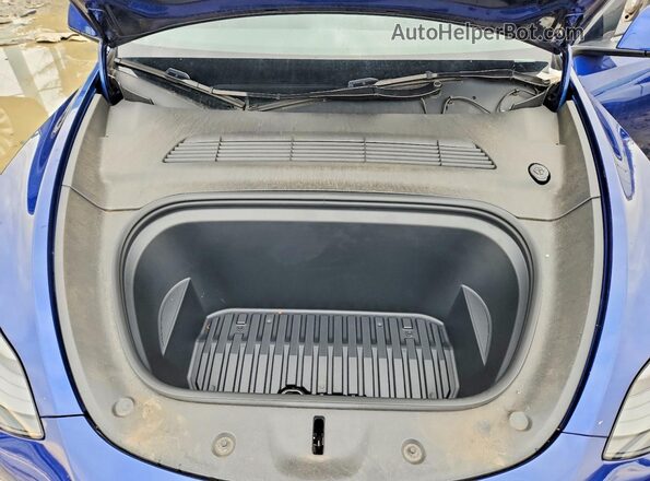 7SAYGDED2PF958850 2023 TESLA MODEL Blue 