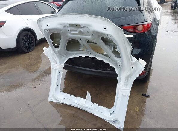 7SAYGDEE2NA022858 2022 TESLA MODEL Y Белый Вид щитка приборов