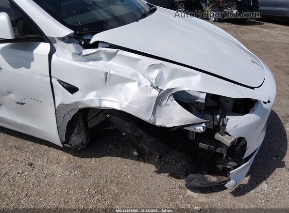 7SAYGDEE3RA256013 2024 TESLA MODEL Y White Widok z przodu