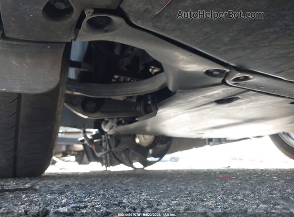 7SAYGDEE5PA154743 2023 TESLA MODEL Y Black 