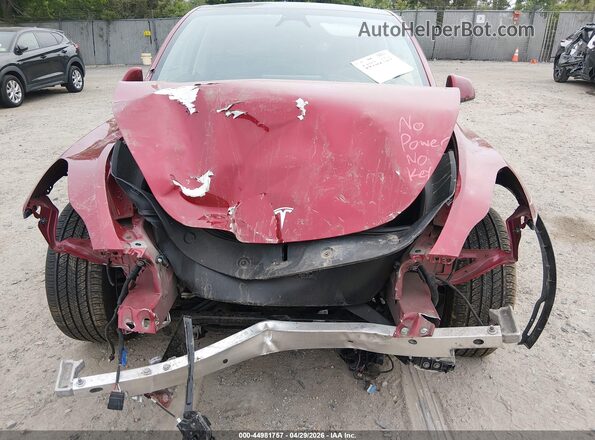 7SAYGDEE5RA269524 2024 TESLA MODEL Y Красный 