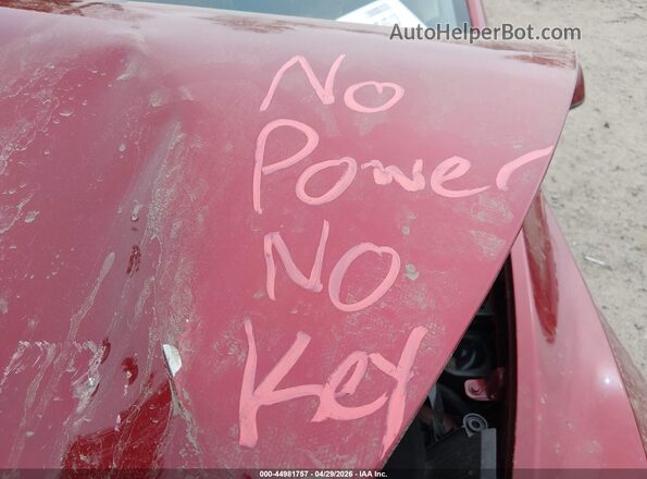 7SAYGDEE5RA269524 2024 TESLA MODEL Y Красный 