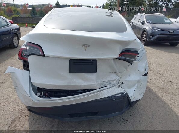 7SAYGDEE6SF305276 2025 TESLA MODEL Y White 