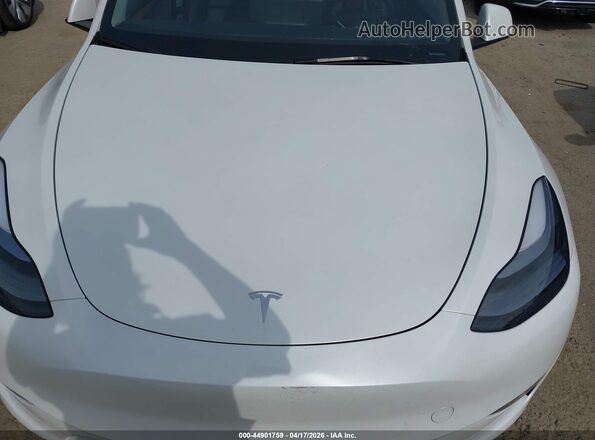 7SAYGDEE6SF305276 2025 TESLA MODEL Y White 