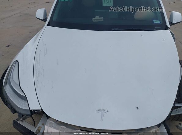 7SAYGDEE8PA062574 2023 TESLA MODEL Y White 