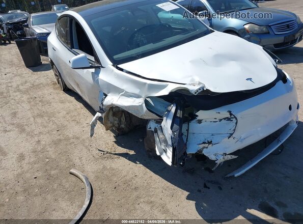 7SAYGDEE8PF805124 2023 TESLA MODEL Y White Widok z przodu