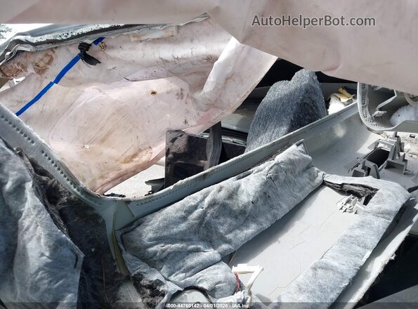 7SAYGDEE9RA253701 2024 TESLA MODEL Y White Սալոնի դիմացի տեսք