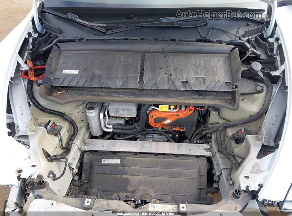 7SAYGDEF5PF850093 2023 TESLA MODEL Y Белый Вид сзади