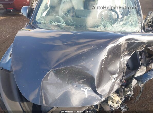 7SAYGDEF9RF053655 2024 TESLA MODEL Y Gray Հետևի տեսք