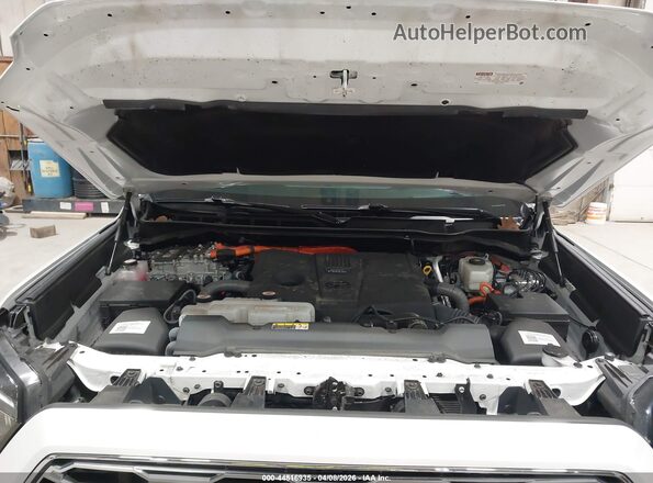 7SVAAABA8RX035182 2024 TOYOTA SEQUOIA White Widok z tyłu