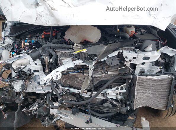7SVAAABAXRX025060 2024 TOYOTA SEQUOIA White Հետևի տեսք