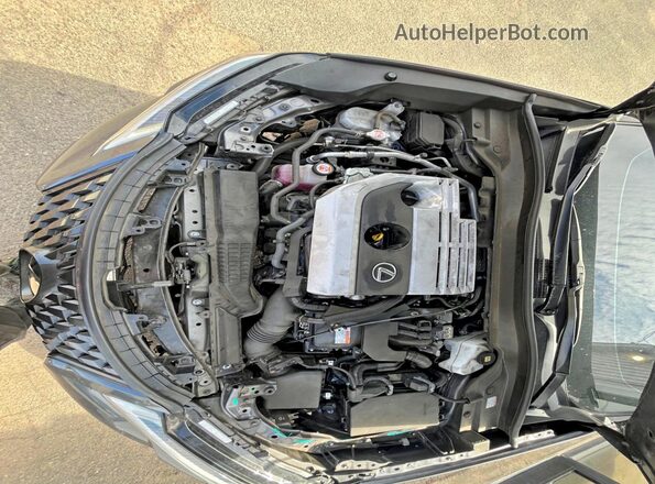 JTHX6JBH5R2186091 2024 LEXUS UX Black Вид ззаду