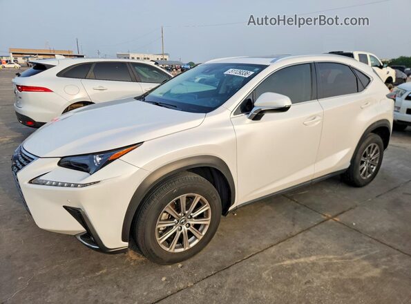 JTJDARBZ3M5029044 2021 LEXUS NX White Tył lewy
