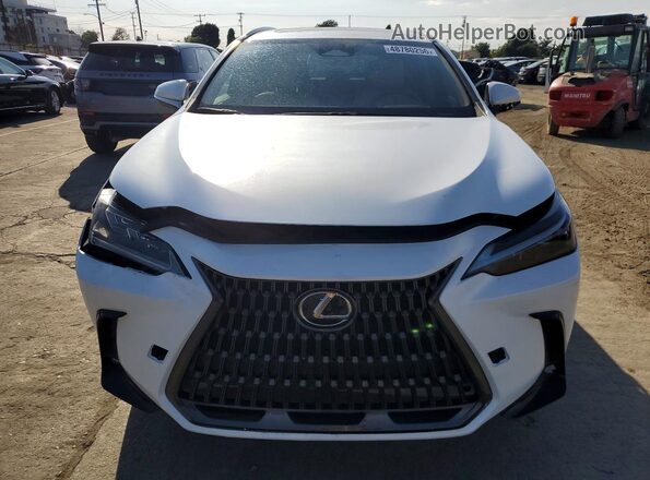 2T2ADCAZ0RC007200 2024 LEXUS NX White Vista trasera