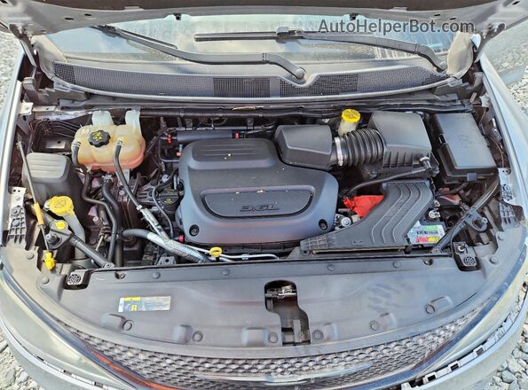 2C4RC1FG8LR120079 2020 CHRYSLER PACIFICA Silver Вид наклейки з VIN-кодом