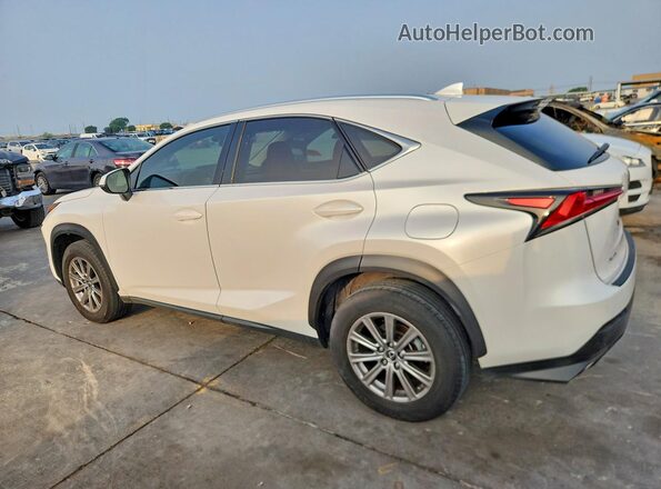 JTJDARBZ3M5029044 2021 LEXUS NX White Tył prawy