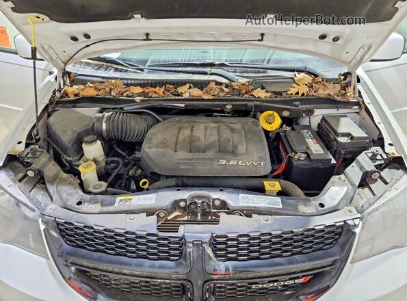 2C4RDGBG9HR769533 2017 DODGE CARAVAN Белый Вид наклейки с VIN-кодом