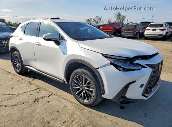 2T2ADCAZ0RC007200 2024 LEXUS NX White Vista frontal