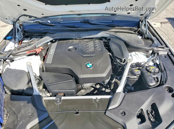 WBAJR3C00LWW59007 2020 BMW 5 SERIES White Սալոնի հետևի տեսք
