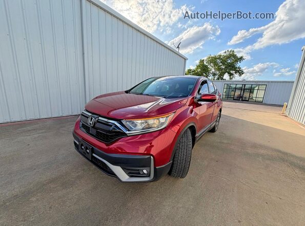 2HKRW1H56NH407729 2022 HONDA CRV Red 