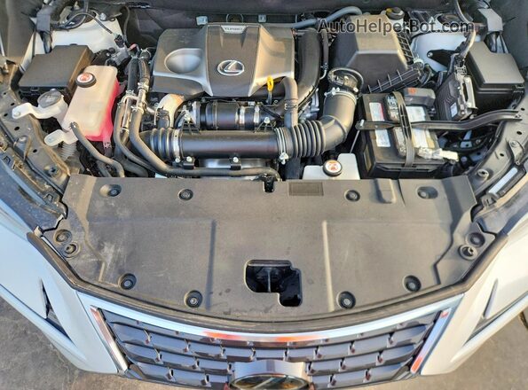 JTJDARBZ3M5029044 2021 LEXUS NX White Widok naklejki z numerem VIN