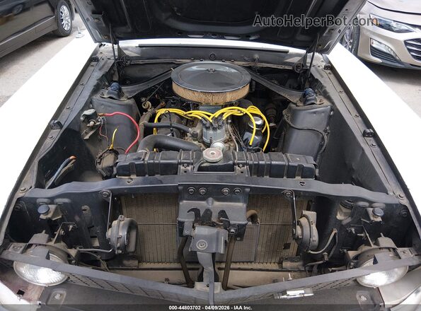 9F01F102651       1970 FORD MUSTANG Белый Вид сзади