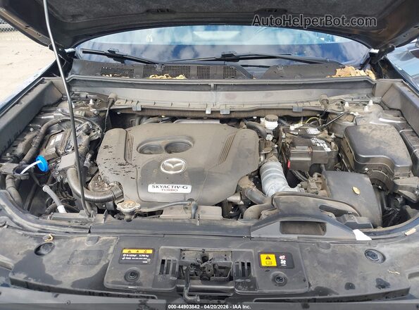 JM3TCBDY3P0629947 2023 MAZDA CX-9  Вид сзади